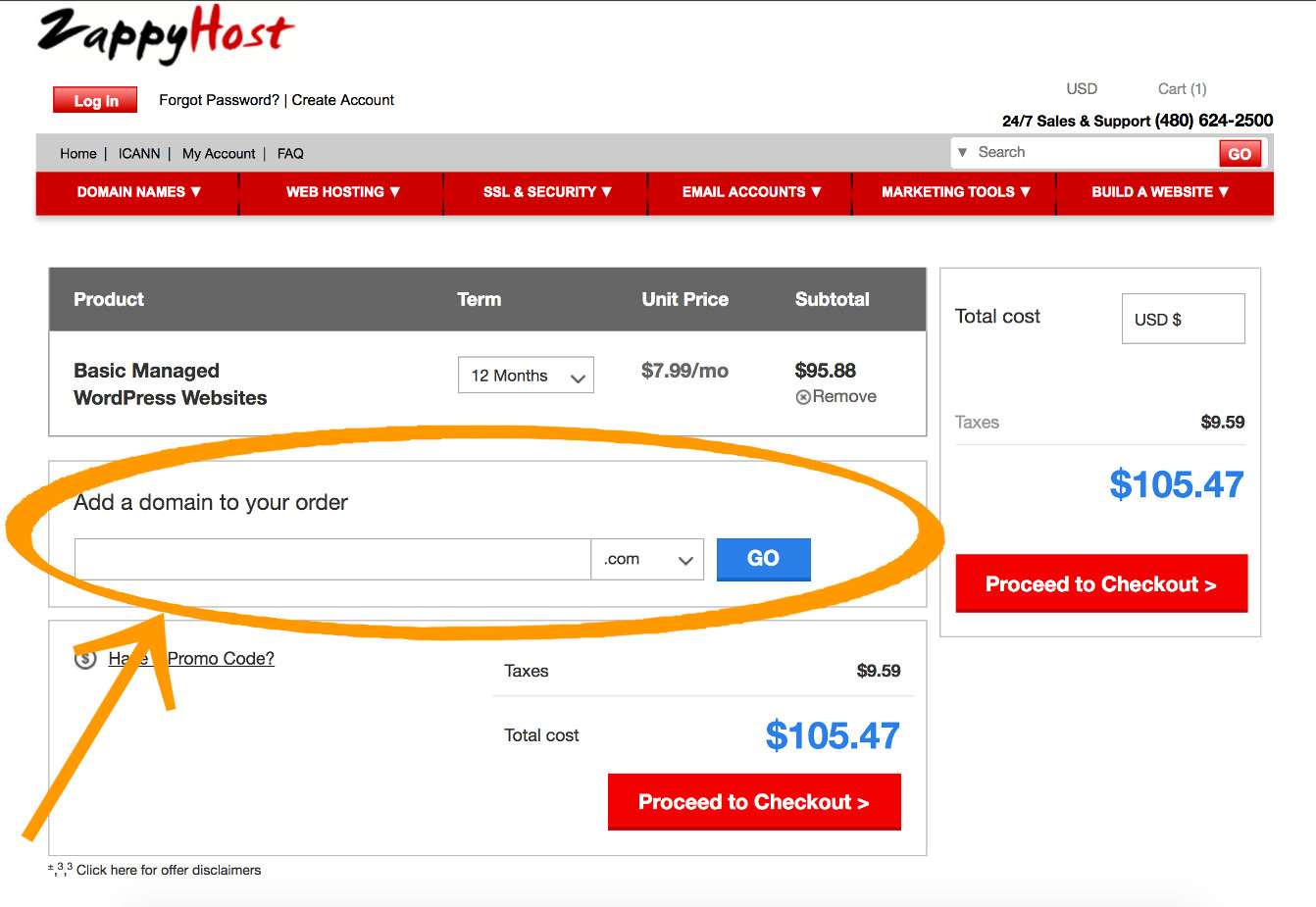 Screenshot of the shopping cart with the domain name section highlighted.