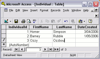 MS Access 2003: Adding data using the direct entry method