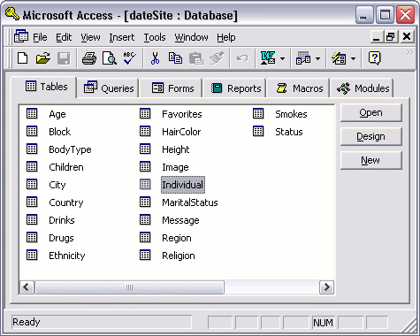 Screenshot of Microsoft Access 2003