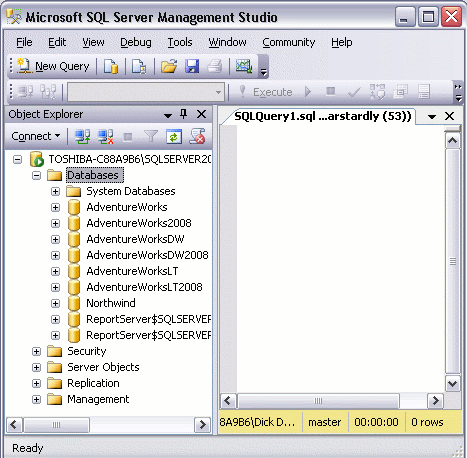 Screenshot of SQL Server 2008.