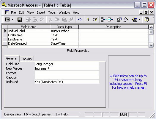 MS Access 2003: Creating a database table in Access - step 3