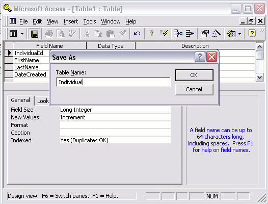 MS Access 2003: Creating a database table in Access - step 4