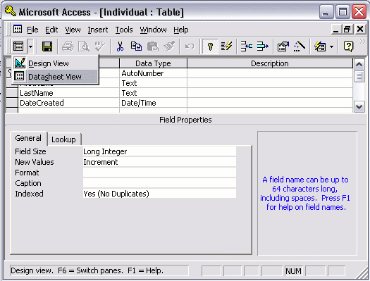 MS Access 2003: Creating a database table in Access - step 6