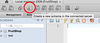 Screenshot of the Create Schema icon