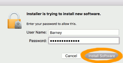 Screenshot of the password prompt.