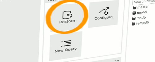 Screenshot of the Restore button in SQLOPS